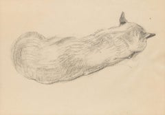 Mid 20th Century Graphite Drawing - Sleeping Cat