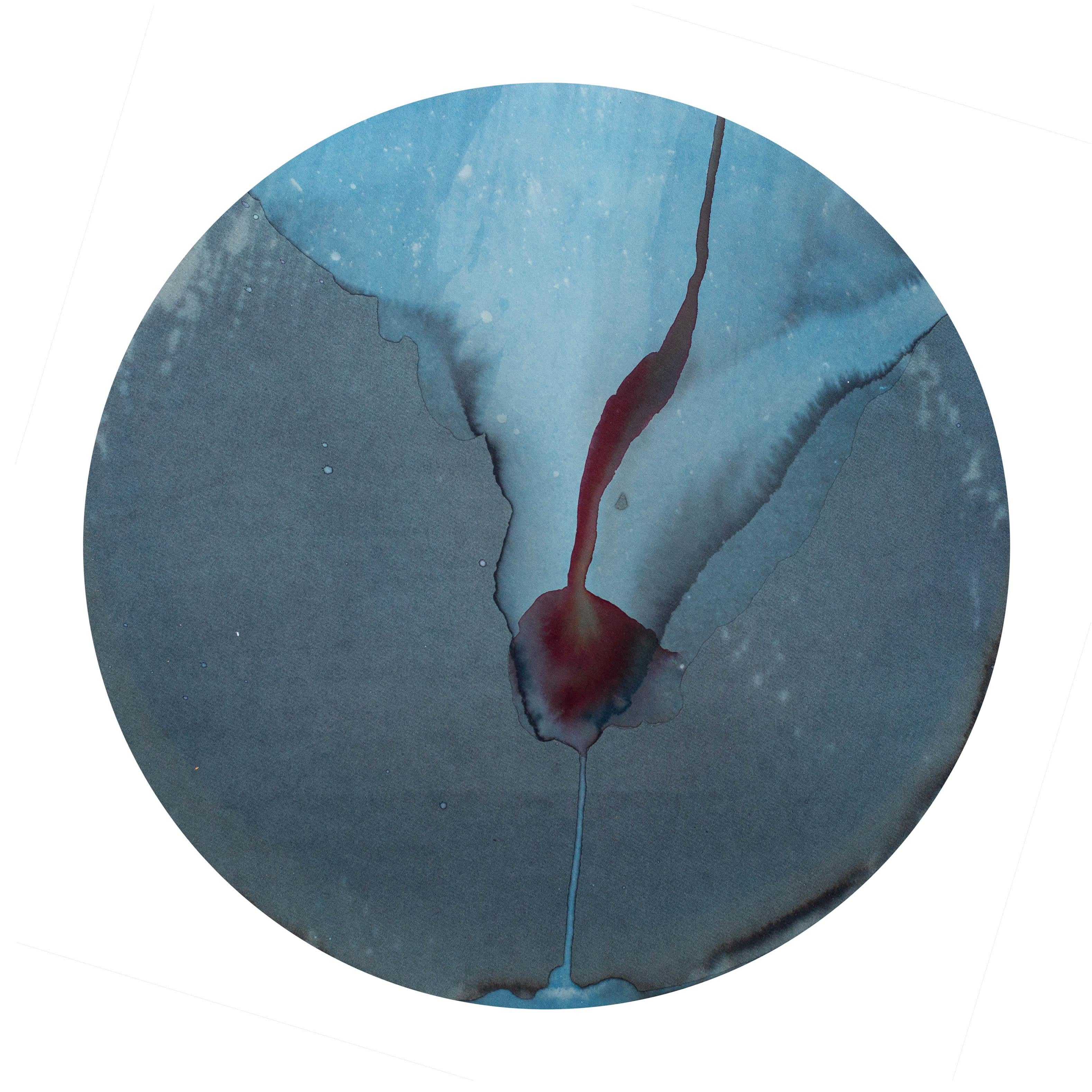 012_Thalassa_ Cratere_05_Circle Decorative Art par Teresa Carnuccio
Dimensions : D 1 x L 22 x H 22 cm.
MATERIAL : Cyanotype sur papier aquarelle.

Elle est une photographe d'art basée à Naples, en Italie. Dans ses images, elle élimine complètement