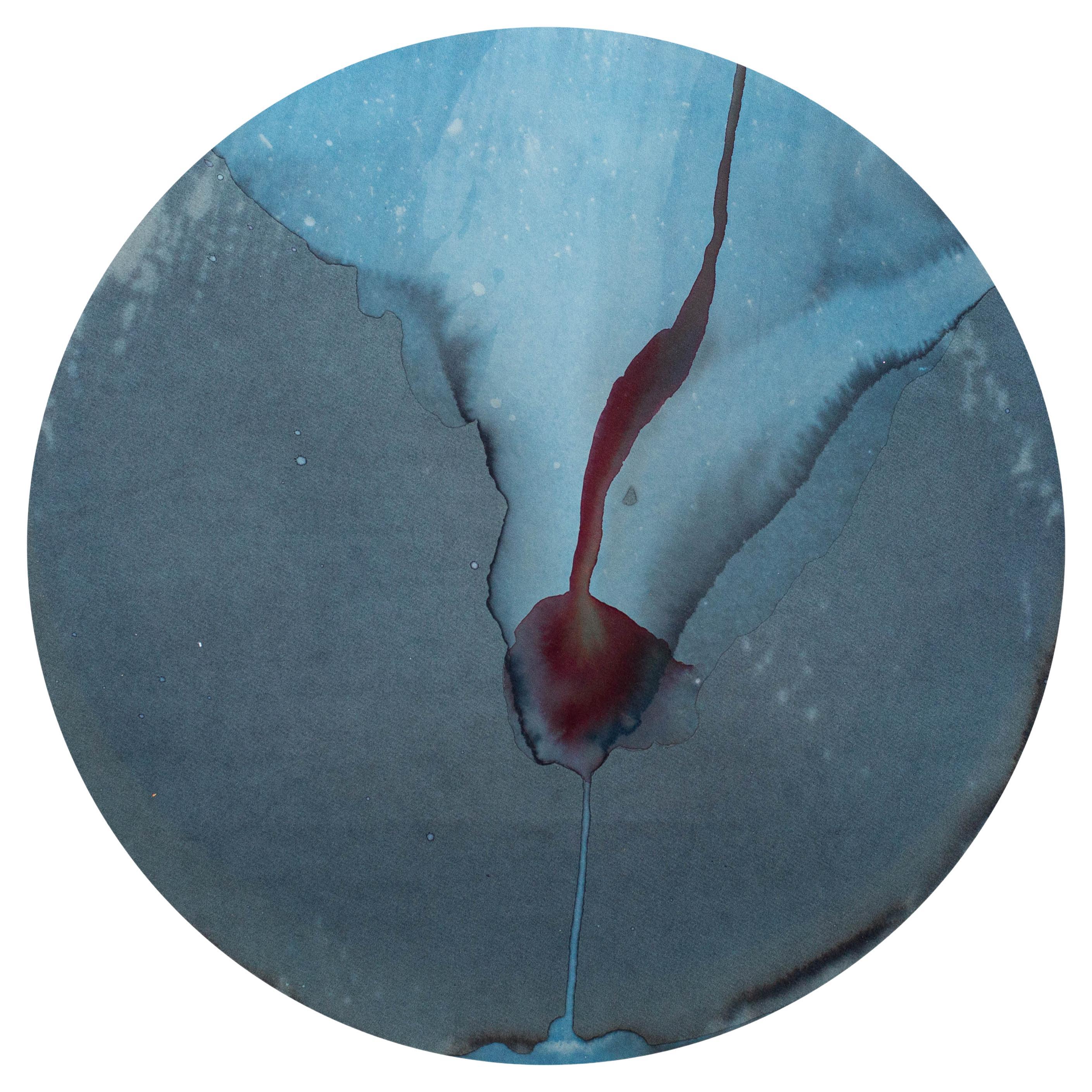 012_Thalassa_ Cratere_05_Circle Decorative Art par Teresa Carnuccio