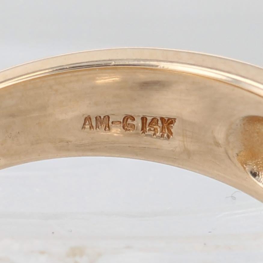 0.14ctw Diamond Men's Wedding Band 14k Yellow Gold Size 10 Ring For Sale 4