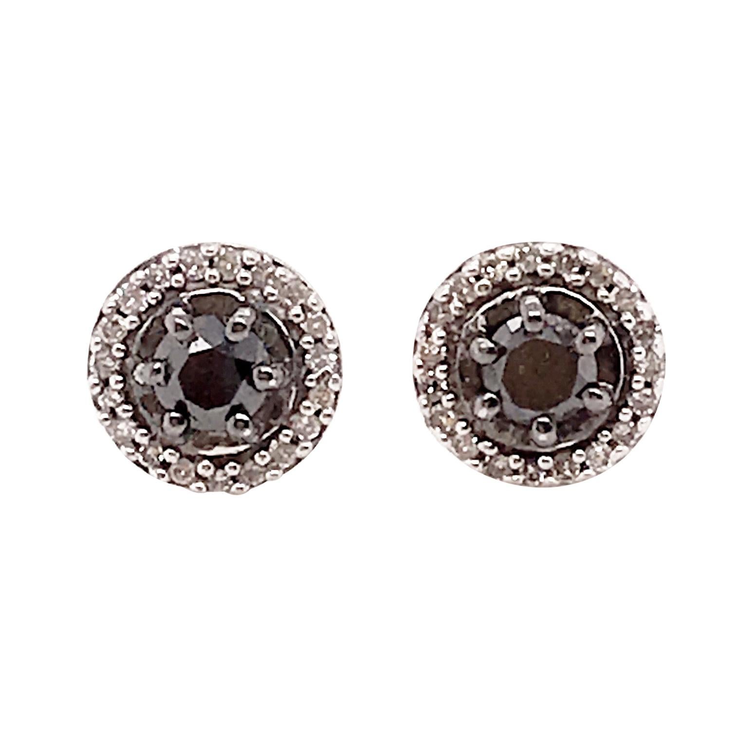 .20 Carat Black Diamond and White Diamond Halo Stud Earrings in Sterling Silver