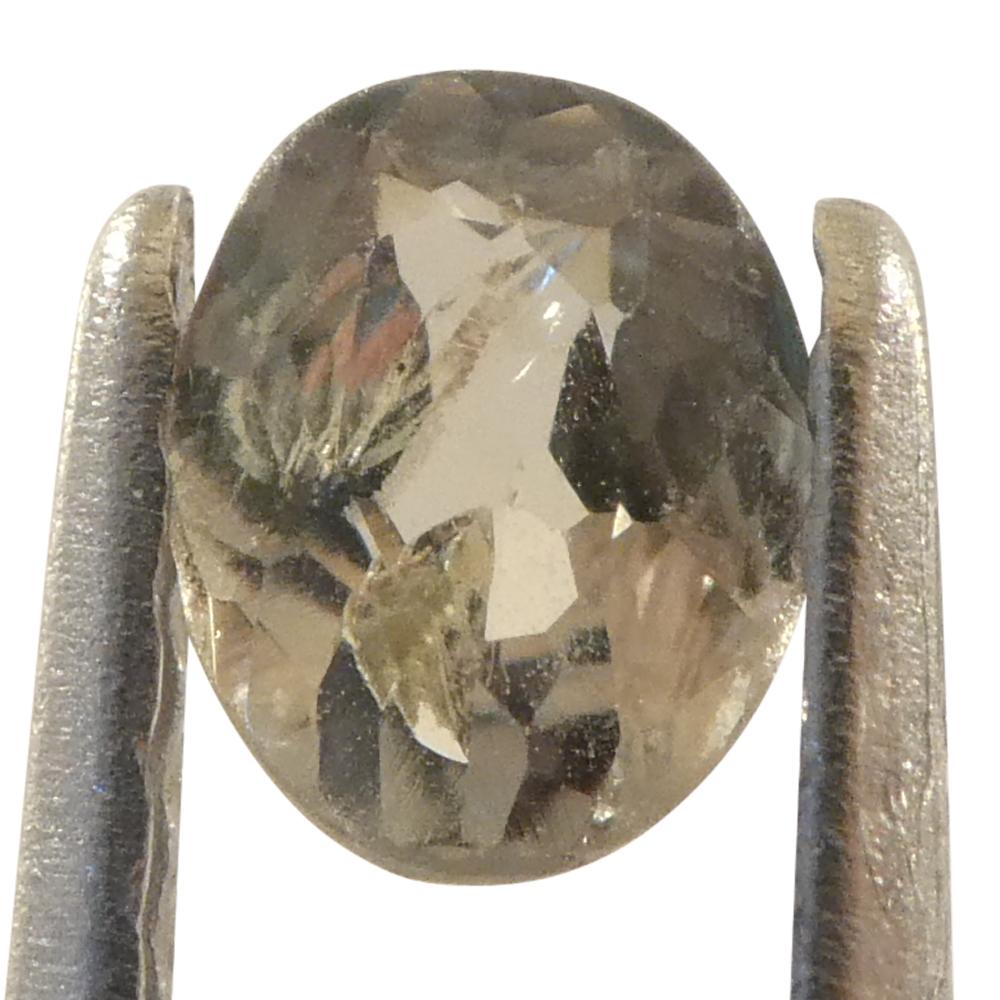 0.24ct Oval Yellowish Green to Yellowish Brown Alexandrite from Brazil For Sale 8