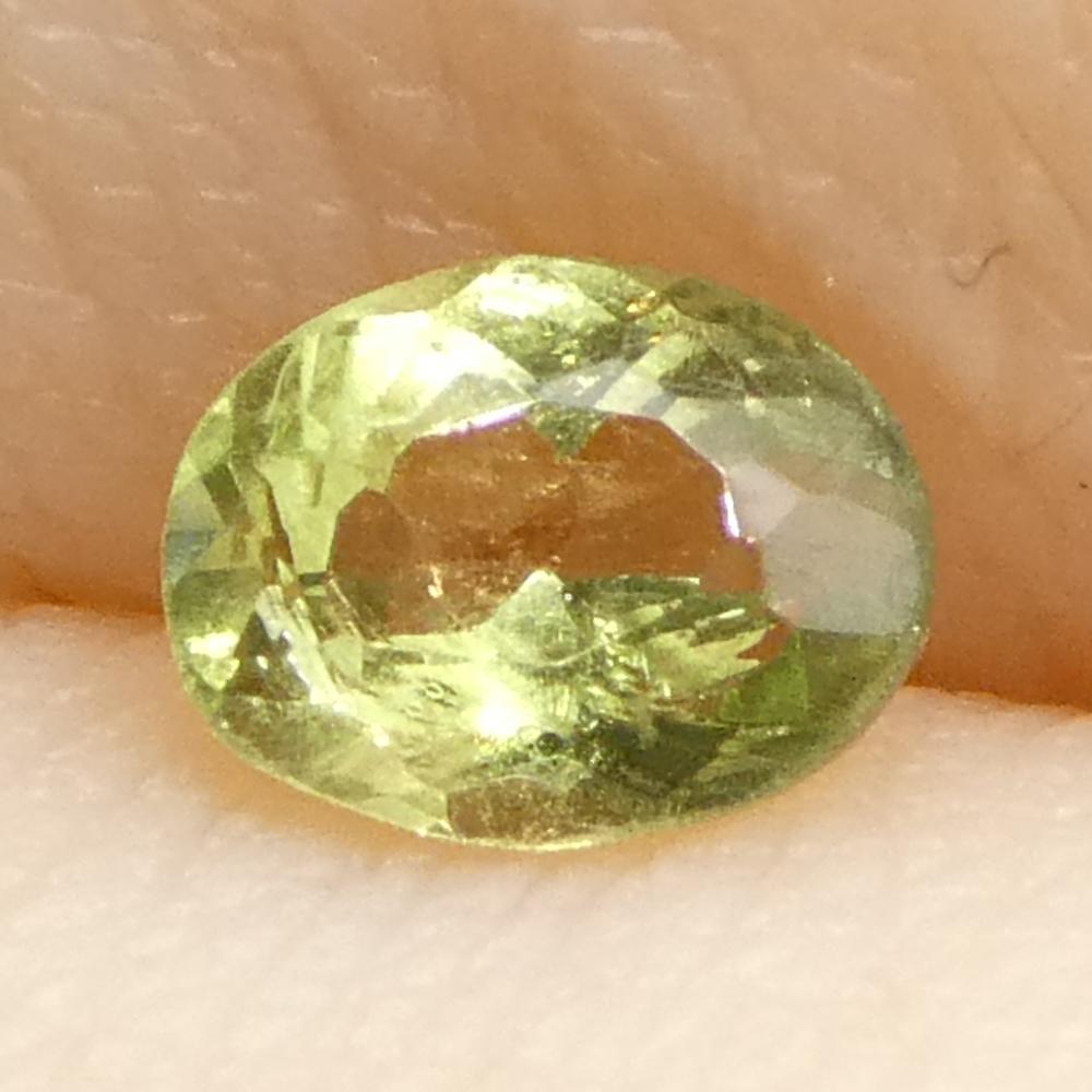 0.24ct Oval Yellowish Green to Yellowish Brown Alexandrite from Brazil For Sale 9