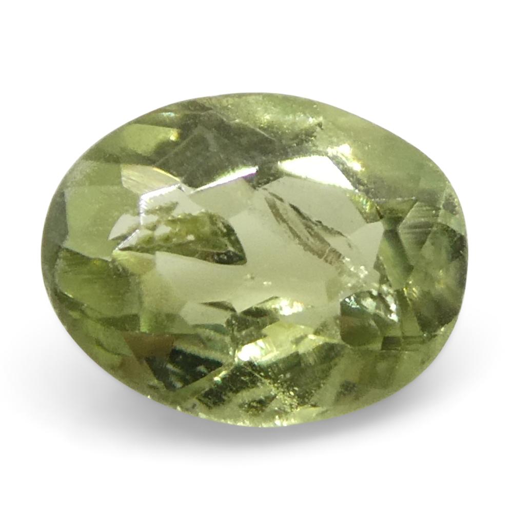 Women's or Men's 0.24ct Oval Yellowish Green to Yellowish Brown Alexandrite from Brazil For Sale