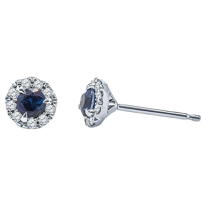 0.25 Carat Total Weight Natural Blue Sapphire & Diamond Halo Stud Earrings For Sale
