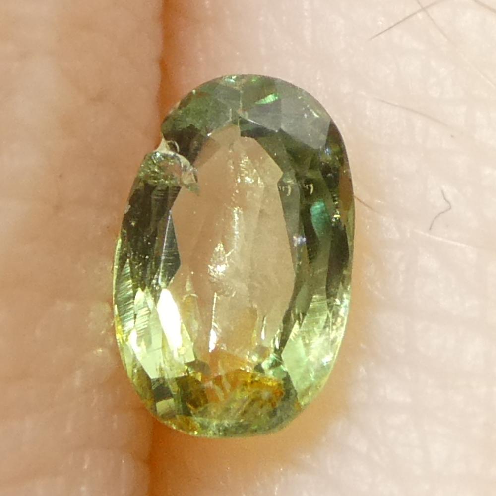 0.25ct Oval Yellowish Green to Greyish Purple Alexandrite from Brazil For Sale 9