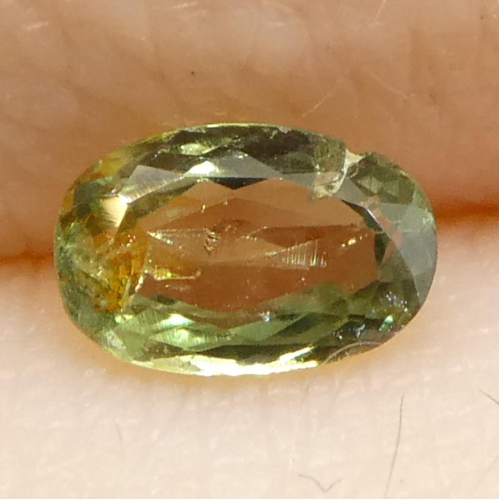 Brilliant Cut 0.25ct Oval Yellowish Green to Greyish Purple Alexandrite from Brazil For Sale