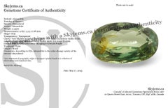 0.25ct Oval Yellowish Green to Greyish Purple Alexandrite from Brazil