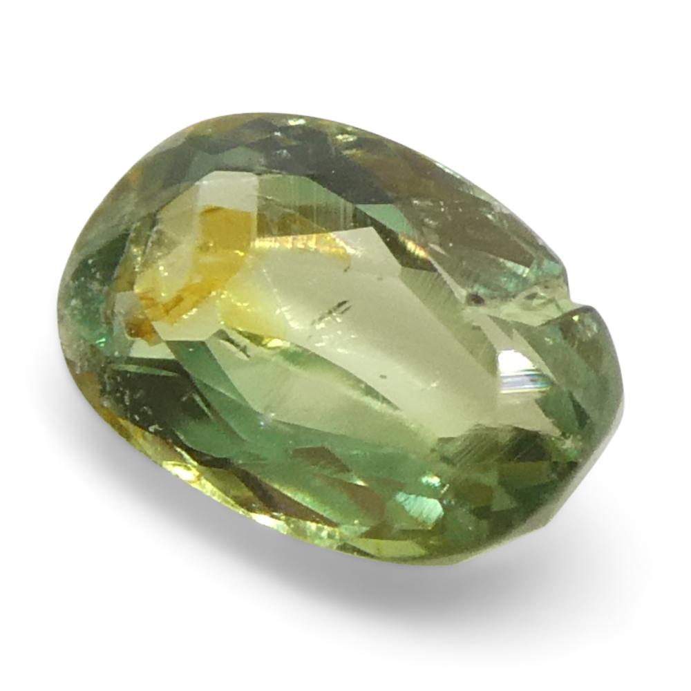 0.25ct Oval Yellowish Green to Greyish Purple Alexandrite from Brazil For Sale 3