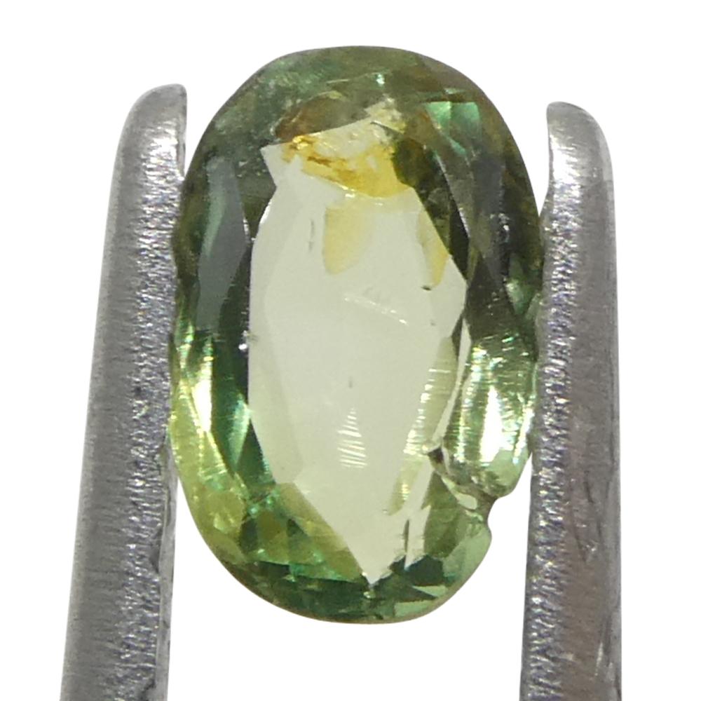 0.25ct Oval Yellowish Green to Greyish Purple Alexandrite from Brazil For Sale 5
