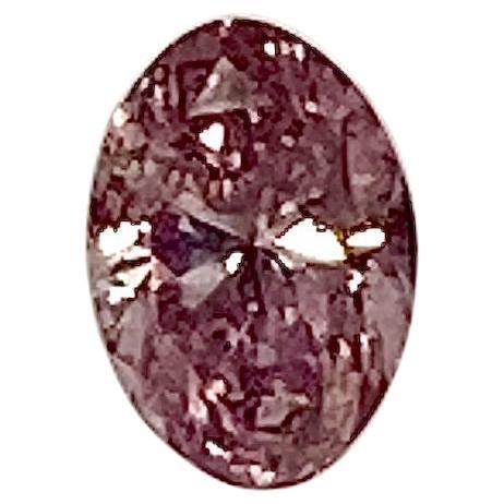 0.29 Carat Oval Cut Diamond Even Loose Pink Argyle Diamond GIA Certified FPP For Sale
