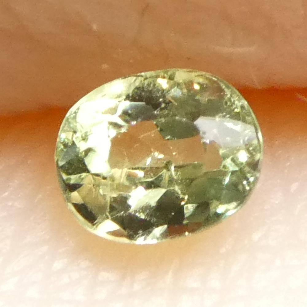 0.2ct Oval Yellowish Green to Greyish Purple Alexandrite from Brazil For Sale 9