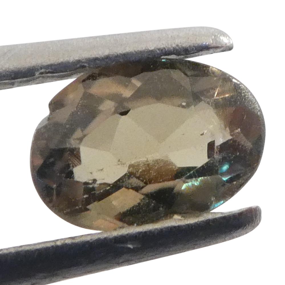 0.3ct Oval Yellow-Green to Yellowish Brown Alexandrite from Brazil For Sale 9