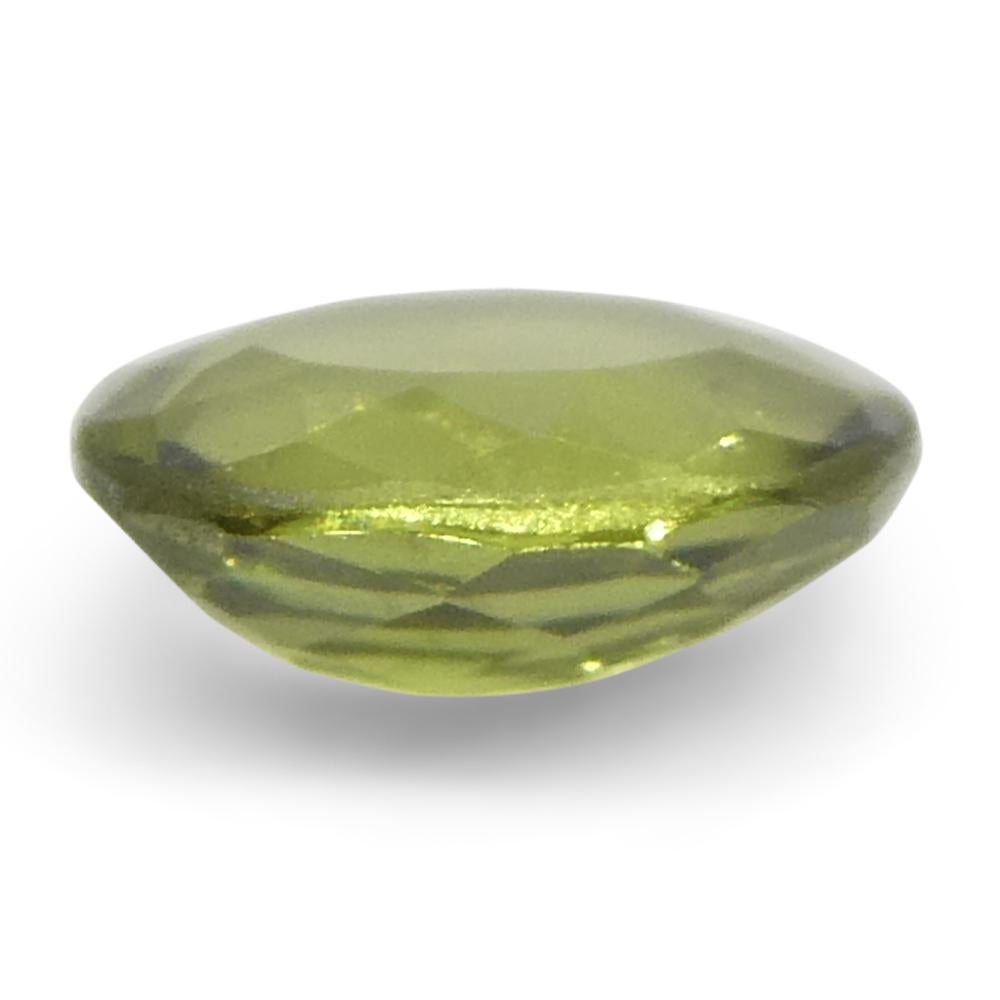 0.3ct Oval Yellow-Green to Yellowish Brown Alexandrite from Brazil For Sale 3