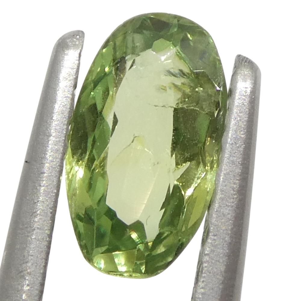 0.44ct Oval Yellowish Green to Greyish Purple Alexandrite from Brazil For Sale 4