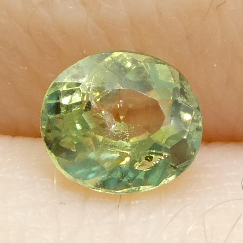 Alexandrite ovale de 0,47ct, vert jaunâtre à violet grisâtre, Brésil en vente 6