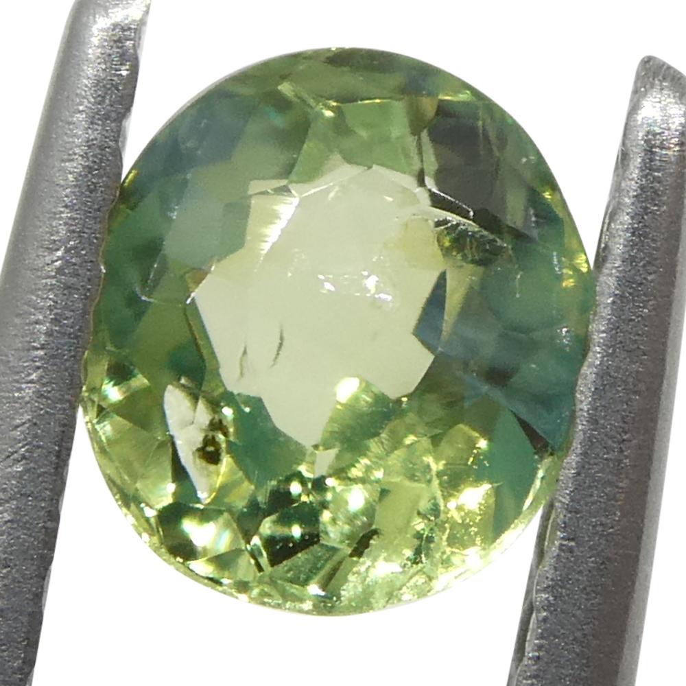Alexandrite ovale de 0,47ct, vert jaunâtre à violet grisâtre, Brésil Neuf - En vente à Toronto, Ontario