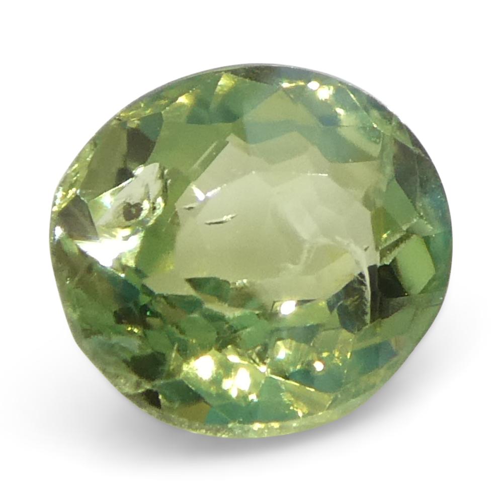 Alexandrite ovale de 0,47ct, vert jaunâtre à violet grisâtre, Brésil en vente 1