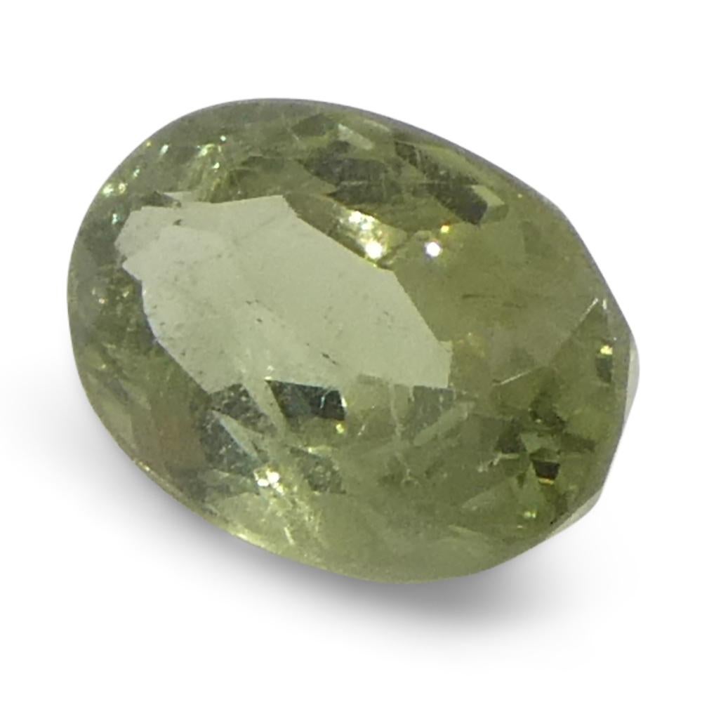0.47ct Oval Yellowish Green to Greyish Purple Alexandrite from Brazil For Sale 2