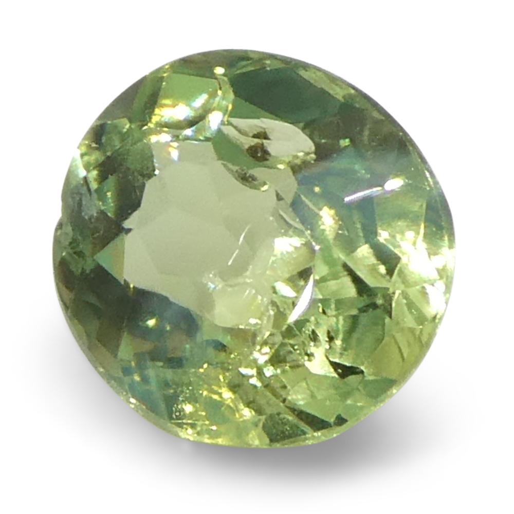 Alexandrite ovale de 0,47ct, vert jaunâtre à violet grisâtre, Brésil en vente 3