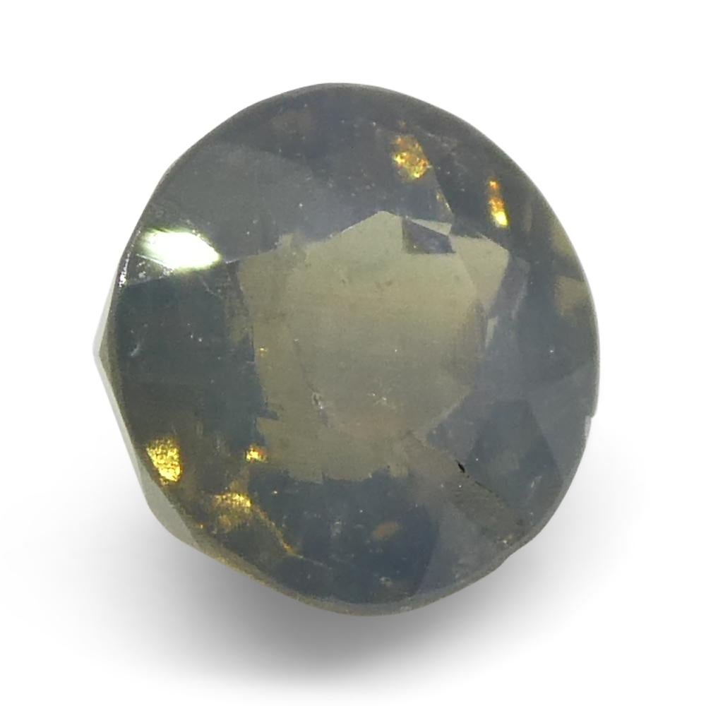 Alexandrite ovale de 0,56ct jaune verdâtre à violet grisâtre du Sri Lanka en vente 2
