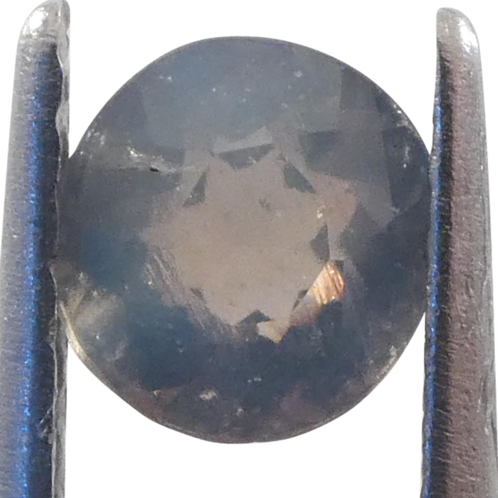 Alexandrite ovale de 0,56ct jaune verdâtre à violet grisâtre du Sri Lanka en vente 5