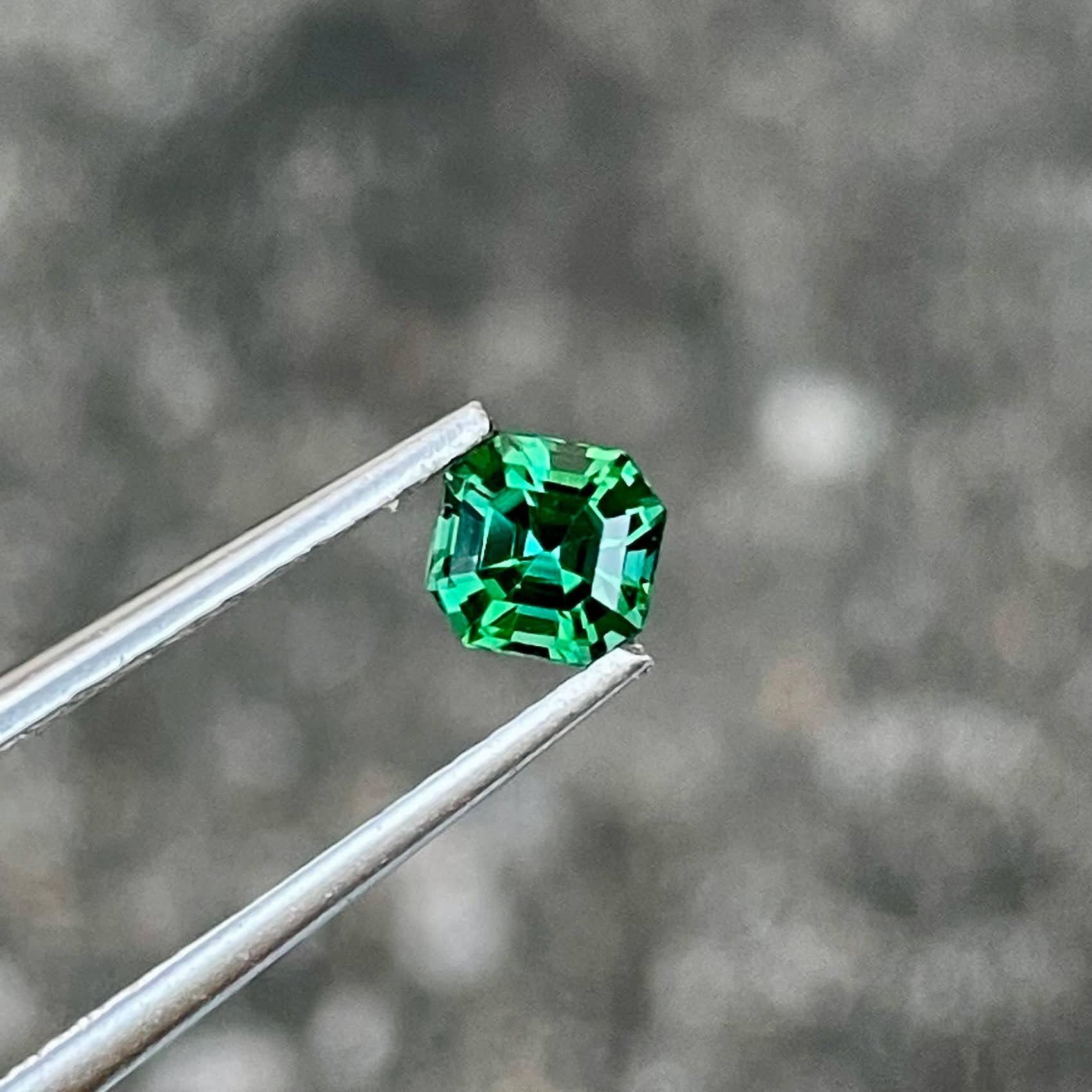 Peso 0,58 carati 
Dimensioni 4,8x4,7x3,6 mm
Trattamento nessuno
Origine Afghanistan 
Chiarezza VVS 
Forma ottagonale 
Tagliare Asscher 



Questa squisita gemma di tormalina blu verdastra da 0.58 carati è un esempio straordinario della bellezza