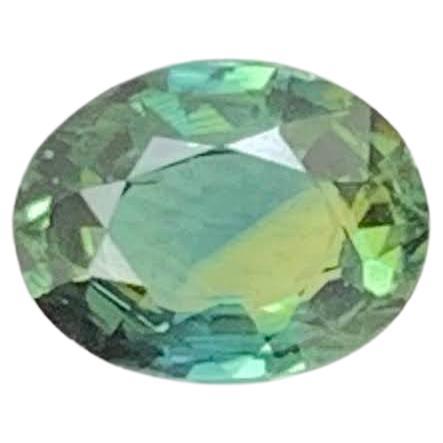 0,60 Karat Natürlicher Loser Bicolor Parti Sapphire Stein Oval Sri Lankan Edelstein