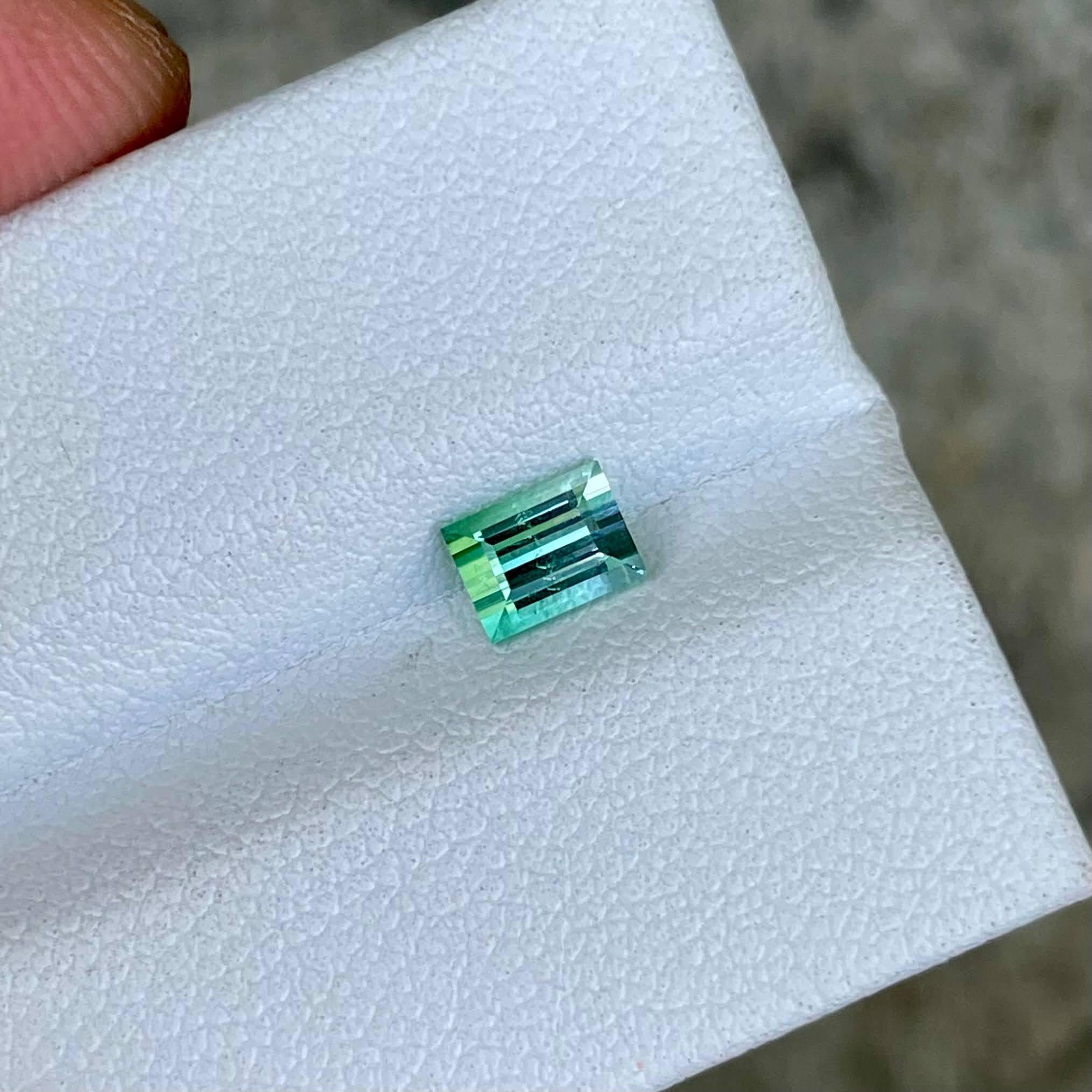 Poids 0,62 carats 
Dimensions 5,3x3,9x3,4 mm 
Traitement aucun
Origine Afghanistan 
Clarté VVS 
Forme rectangulaire 
Coupez la baguette   



Cette étonnante tourmaline bicolore de 0,62 carat présente un mélange de couleurs envoûtant, taillée de