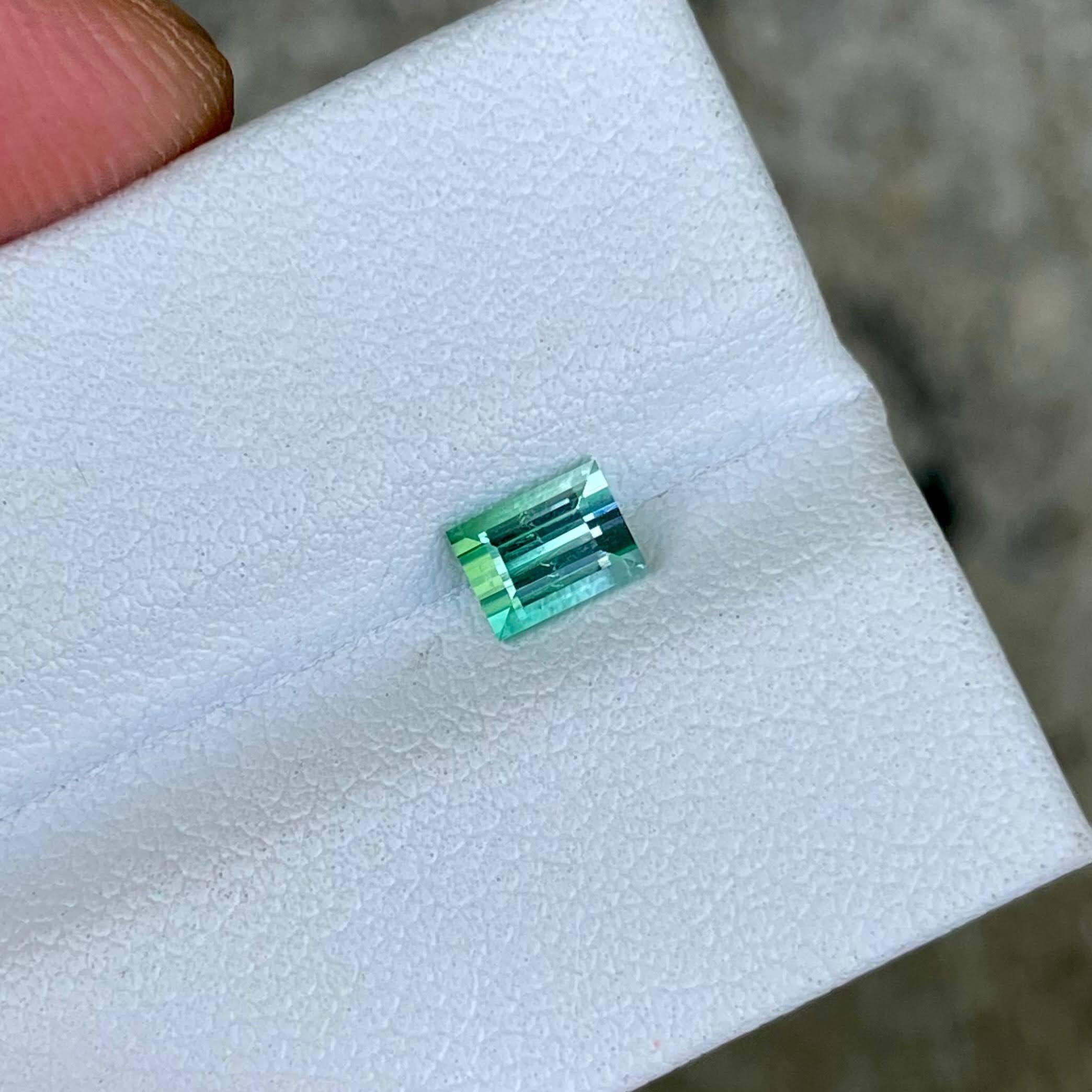 Pierre tourmaline afghane bicolore taille baguette 0,62 carat en vente 1