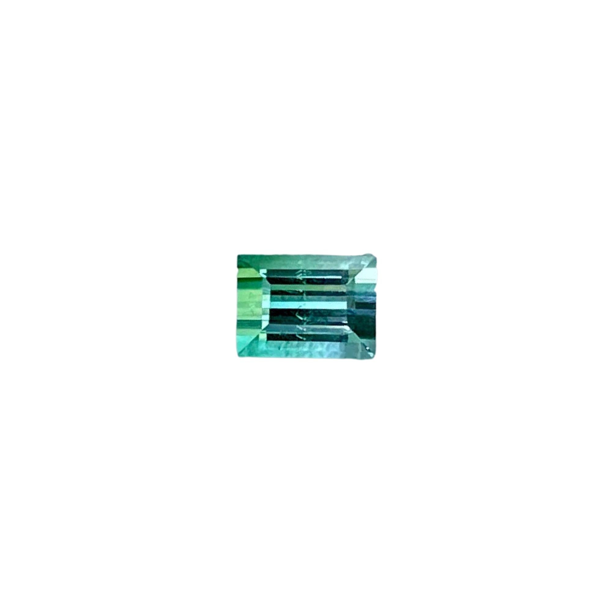 Pierre tourmaline afghane bicolore taille baguette 0,62 carat en vente 3