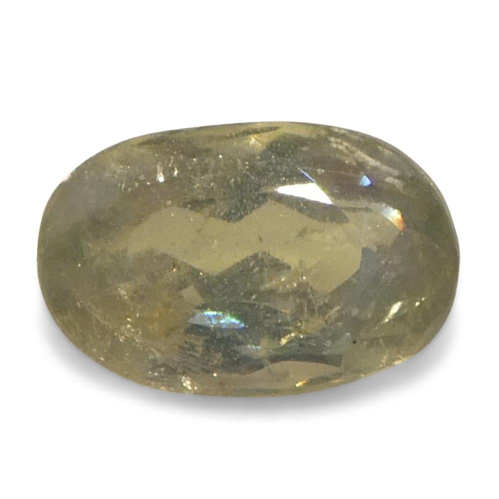 Alexandrite ovale jauneâtre verte à jaune verdâtre de 0,64 carat du Sri Lanka en vente 6