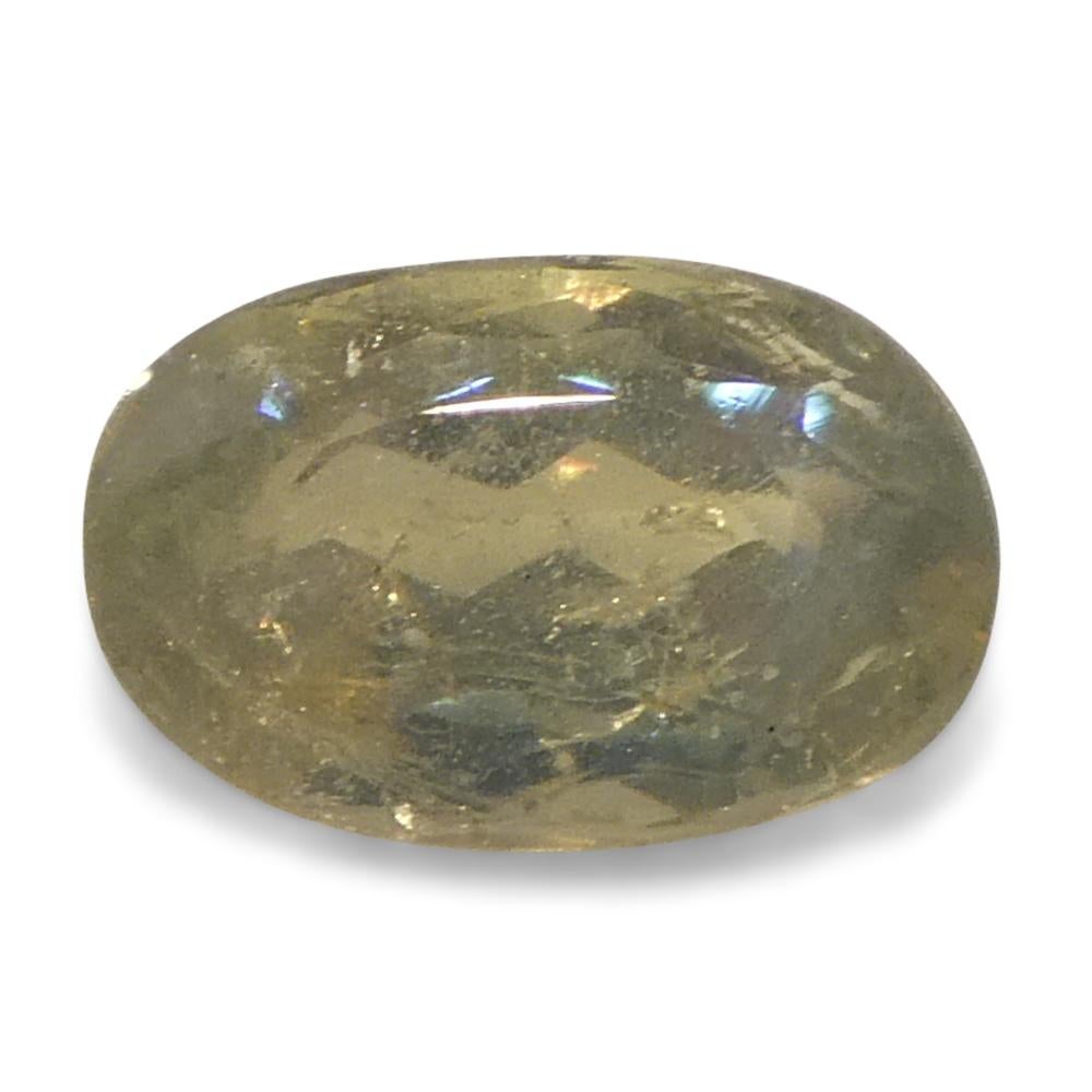 Alexandrite ovale jauneâtre verte à jaune verdâtre de 0,64 carat du Sri Lanka en vente 7