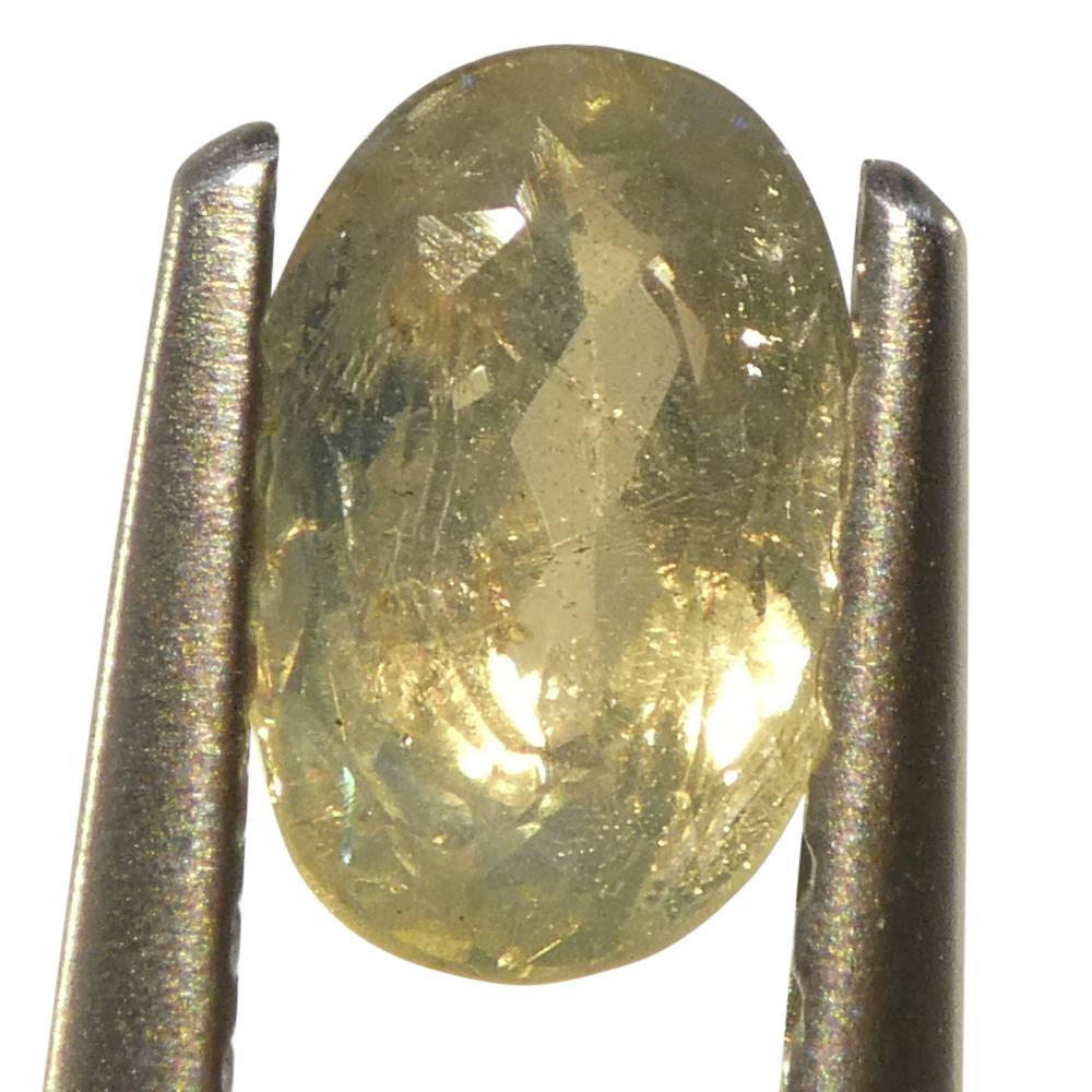 Alexandrite ovale jauneâtre verte à jaune verdâtre de 0,64 carat du Sri Lanka en vente 8