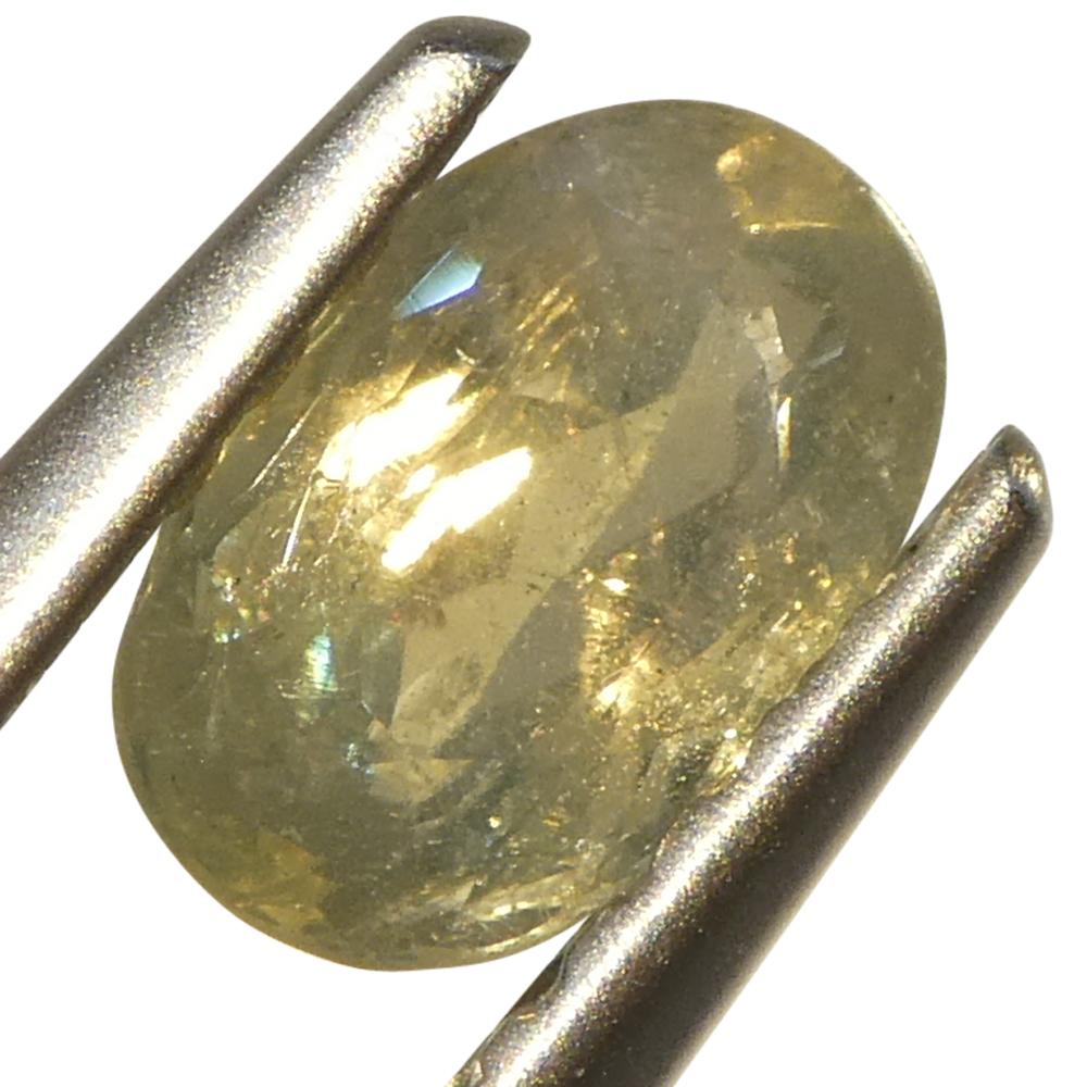 Alexandrite ovale jauneâtre verte à jaune verdâtre de 0,64 carat du Sri Lanka en vente 9