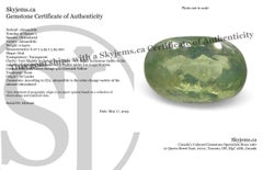 0.64ct Oval Yellowish Green to Greenish Yellow Alexandrite from Sri Lanka