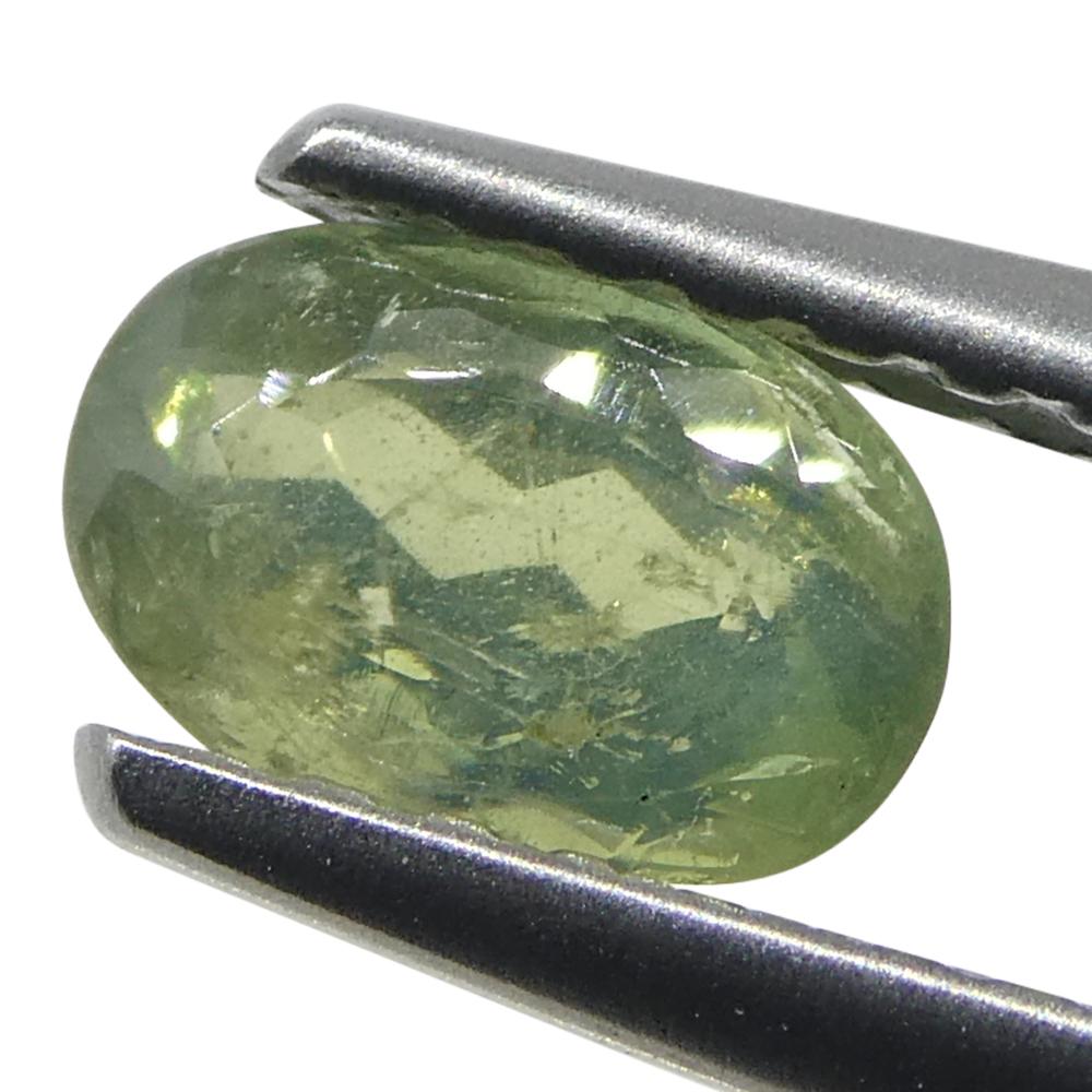 Alexandrite ovale jauneâtre verte à jaune verdâtre de 0,64 carat du Sri Lanka Neuf - En vente à Toronto, Ontario