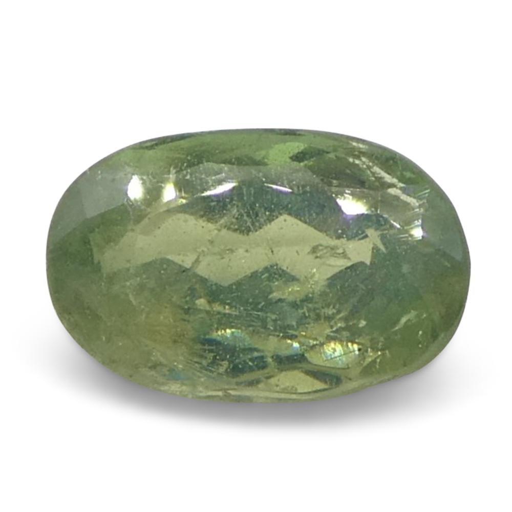 Alexandrite ovale jauneâtre verte à jaune verdâtre de 0,64 carat du Sri Lanka en vente 1
