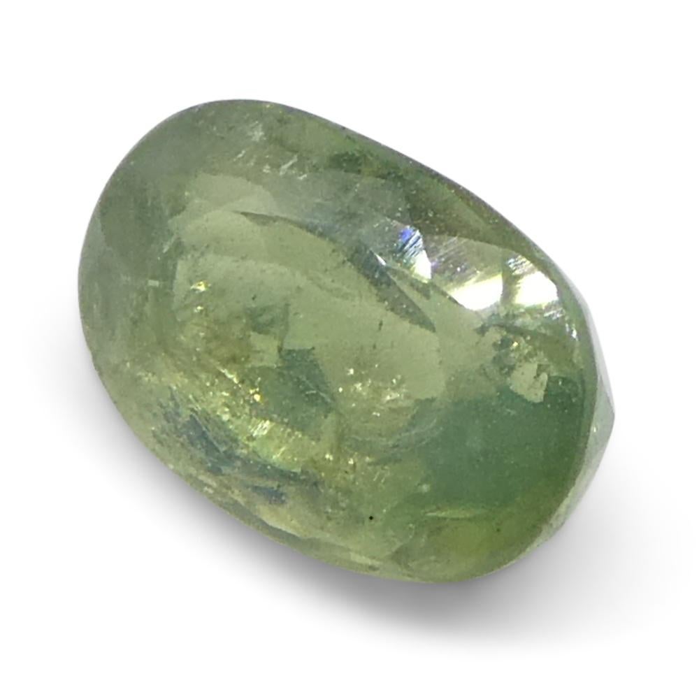 Alexandrite ovale jauneâtre verte à jaune verdâtre de 0,64 carat du Sri Lanka en vente 2