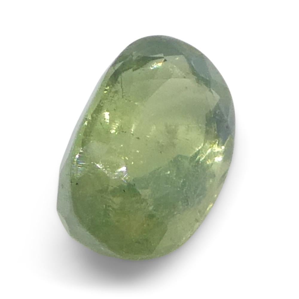 Alexandrite ovale jauneâtre verte à jaune verdâtre de 0,64 carat du Sri Lanka en vente 3