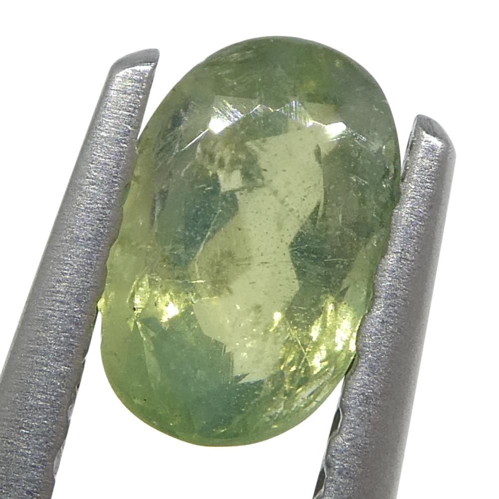Alexandrite ovale jauneâtre verte à jaune verdâtre de 0,64 carat du Sri Lanka en vente 4