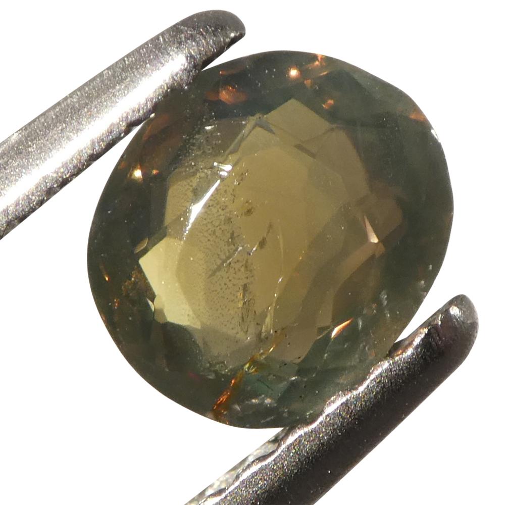 0.64ct Oval Yellowish Green to Yellowish Brown Alexandrite from Sri Lanka For Sale 8