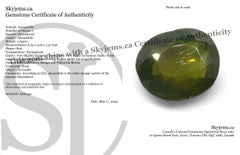 0.64ct Oval Yellowish Green to Yellowish Brown Alexandrite from Sri Lanka