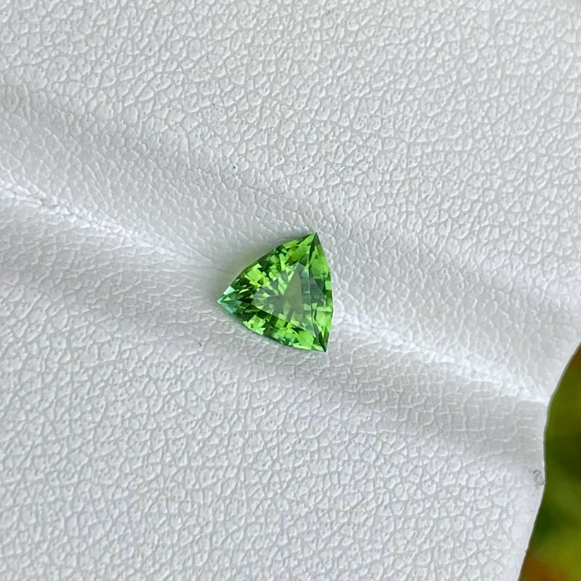 Poids 0,66 carats 
Dimensions 5,9x5,8x3,6 mm 
Traitement aucun 
Origine Afghanistan 
Clarté de l'œil 
Forme triangulaire 
Coupe trilatérale 



La pierre de tourmaline verte que vous possédez est une gemme captivante d'origine naturelle, provenant