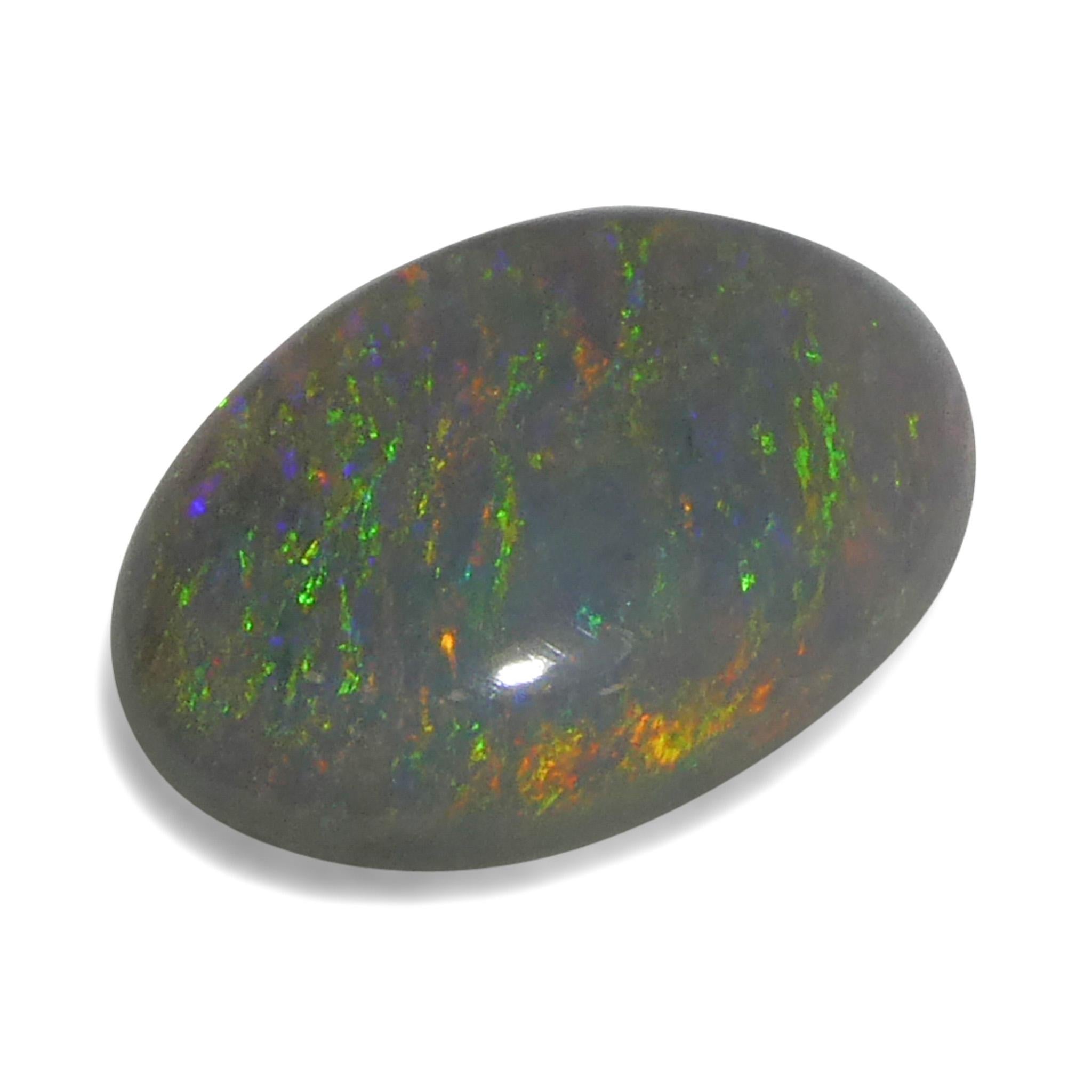 Femenino o masculino Ópalo gris cabujón oval de 0.66 ct de Australia en venta