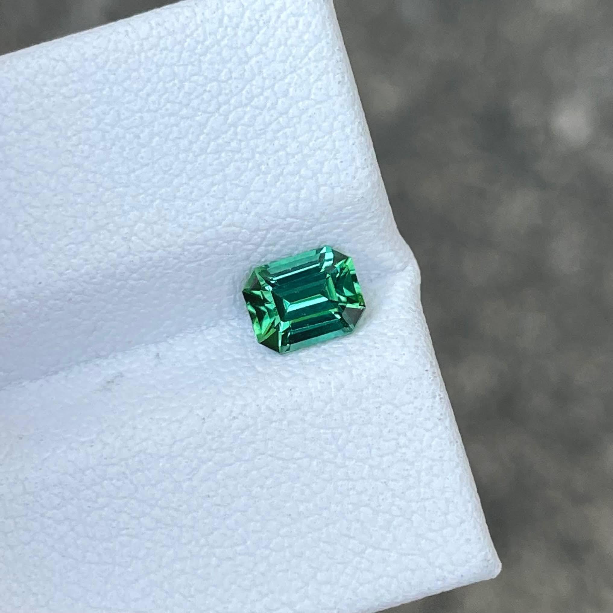 Poids 0,68 carats 
Dimensions 5,9x4,7x3,5 mm
Traitement aucun 
Origine Afghanistan 
Clarté VVS
Forme octogonale 
Taille émeraude 


Cette exquise tourmaline bleue Lagoon de 0.68 carats est un exemple stupéfiant de la beauté de la nature. Provenant