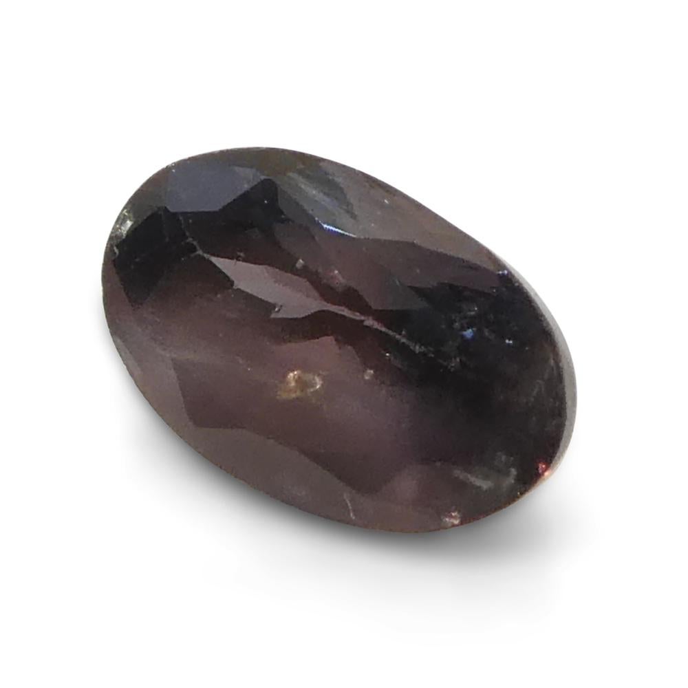 0.68ct Oval Bluish Green to Pinkish Purple Alexandrite from India For Sale 8