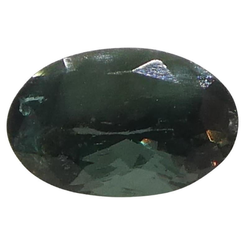 Description:

Gem Type: Alexandrite 
Number of Stones: 1
Weight: 0.68 cts
Measurements: 6.26 x 4.01 x 3.55 mm
Shape: Oval
Cutting Style Crown: 
Cutting Style Pavilion:  
Transparency: Transparent
Clarity: Moderately Included: Inclusions easily