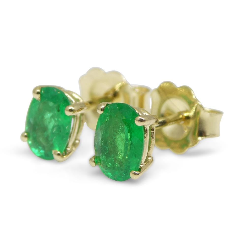 0.6ct Oval Green Colombian Emerald Stud Earrings set in 14k Yellow Gold For Sale 4