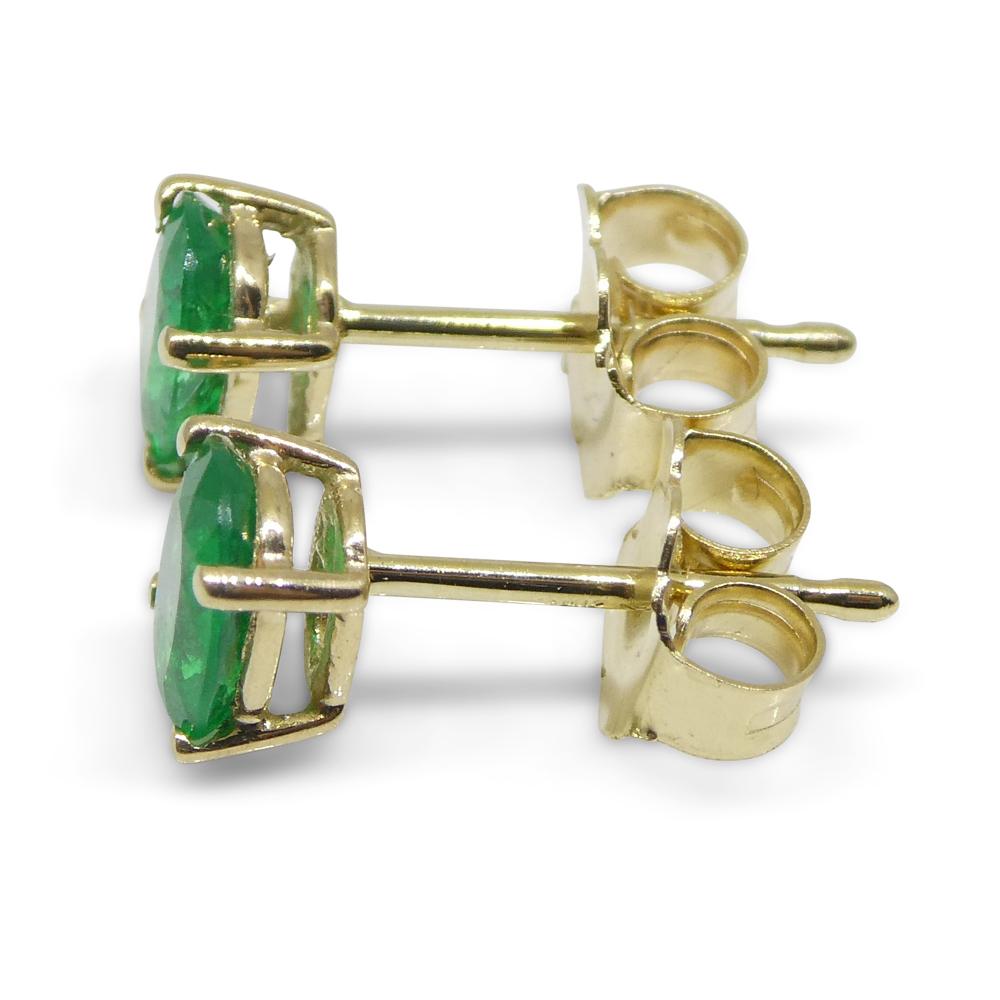 0.6ct Oval Green Colombian Emerald Stud Earrings set in 14k Yellow Gold For Sale 5